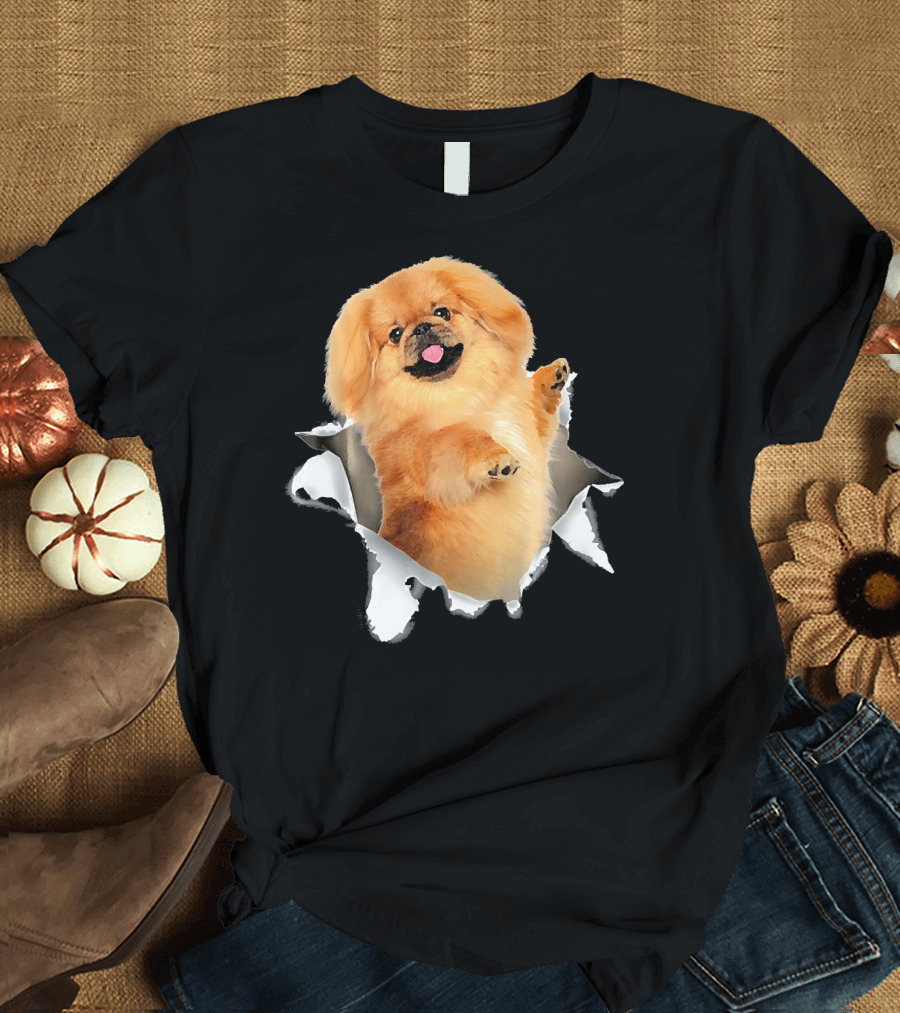 Pekingese Torn Inside Hole Dog Mid T-Shirt