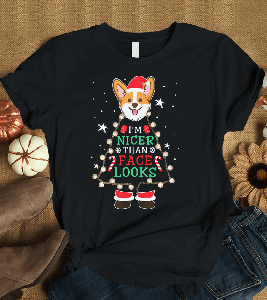 I'm Nicer Than Face Looks Corgi Christmas Lights Santa Hat T-Shirt