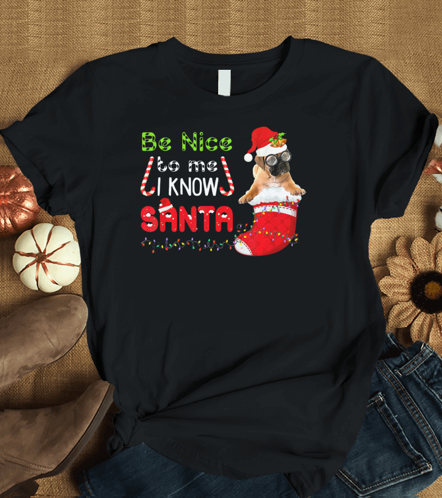 Be Nice To Me I Know Santa BullMastiff in Festive Stocking T-Shirt
