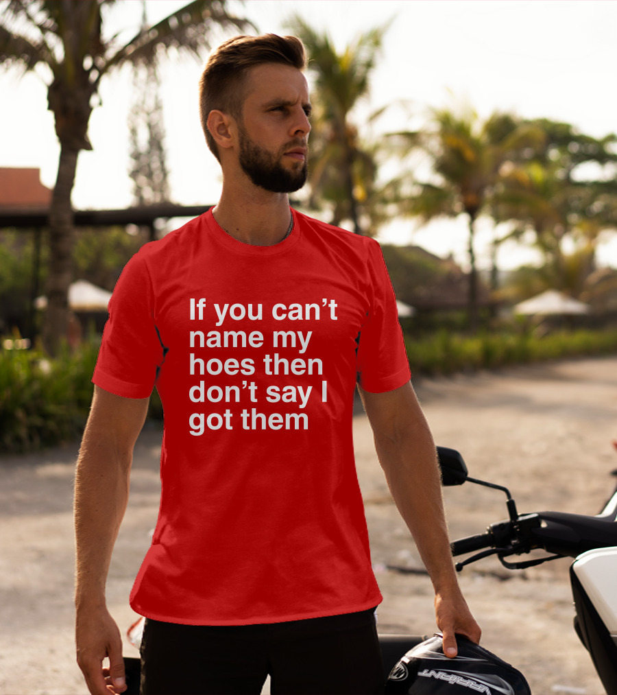If You Can't Name My Hoes Then Don't Say I Got Them T-Shirt