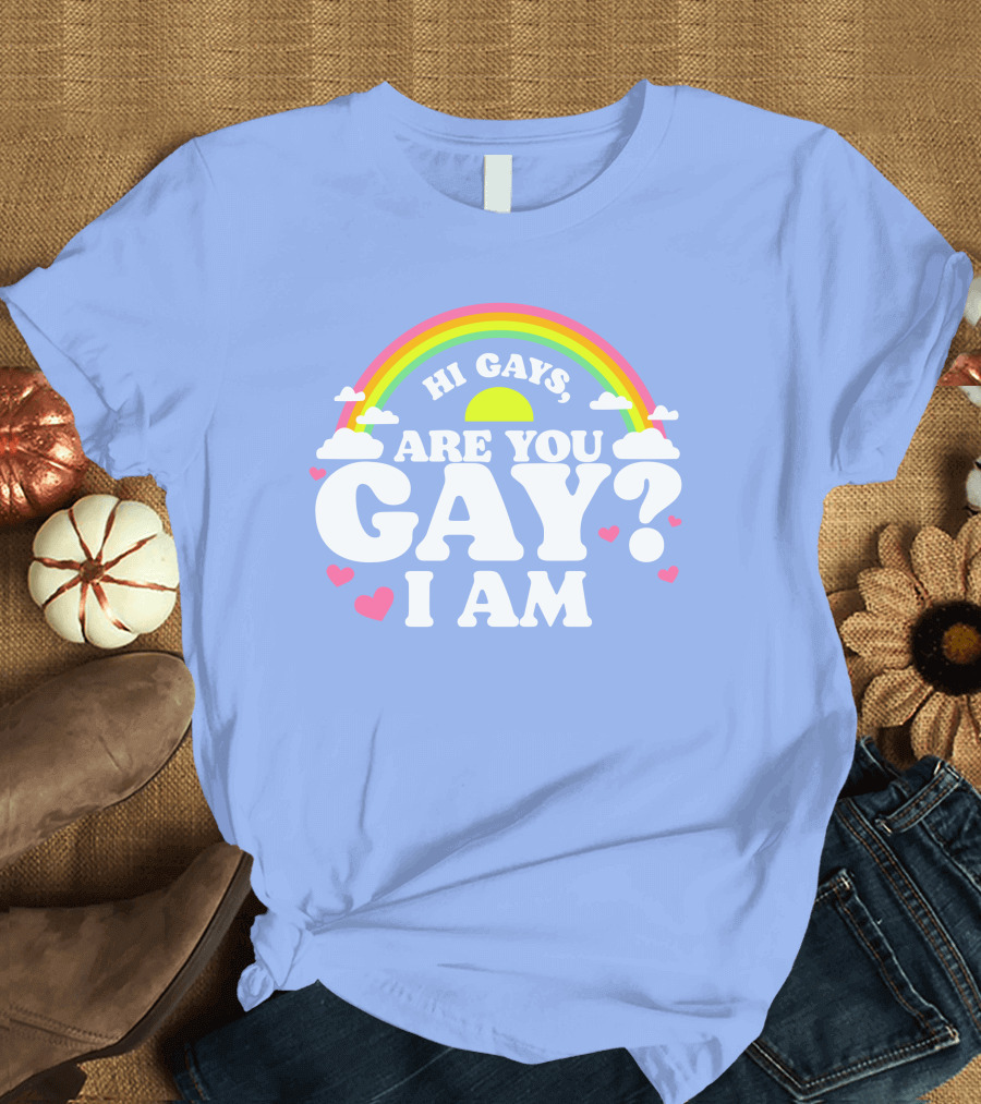 Chrissy Chlapecka Merch Hi Gays Are You Gay I Am with Rainbow and Hearts T-Shirt