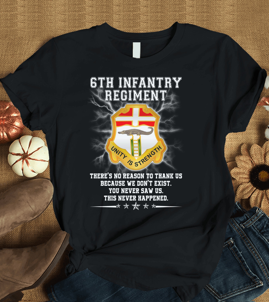 6th Infantry Regiment Unity Is Strength There's No Reason to Thank Us You Never Saw Us This Never Happened T-Shirt