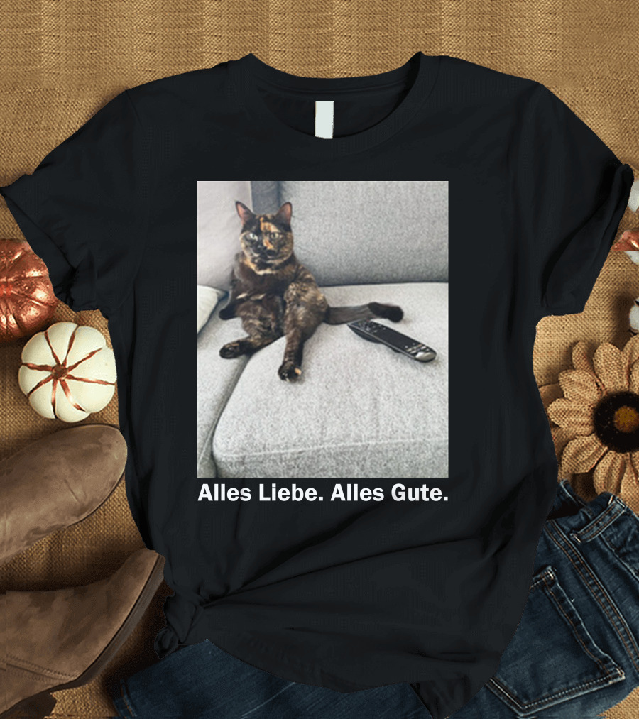 Alles Liebe Alles Gute Bay Berlin Merch Cat On Couch T-Shirt