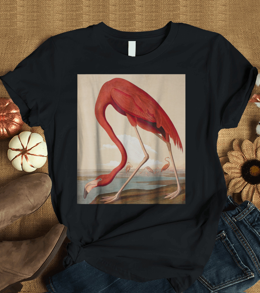 American Flamingo The Birds Of America By Audubon T-Shirt