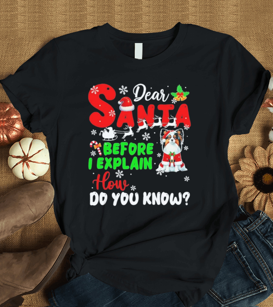 Dear Santa Before I Explain How Do You Know Santa Hat Reindeer Dog Xmas T-Shirt