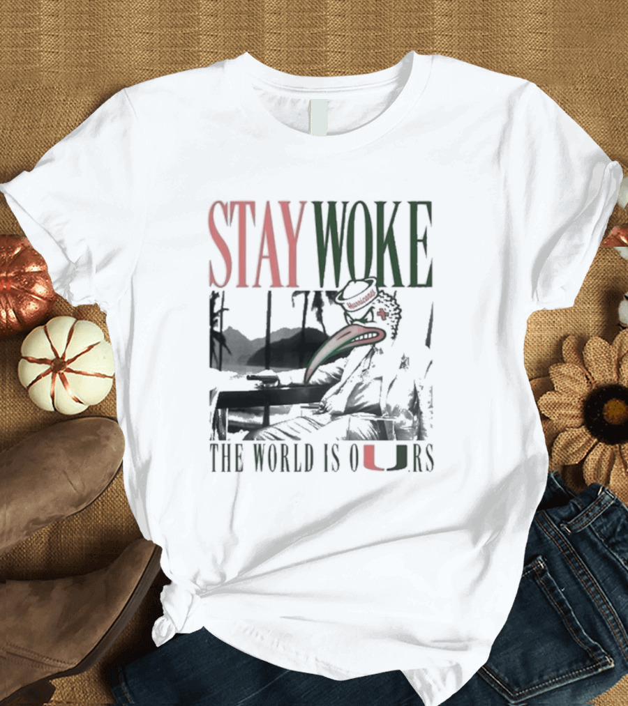 Stay Woke The World Is Ours Miami Hurricanes Vintage T-Shirt