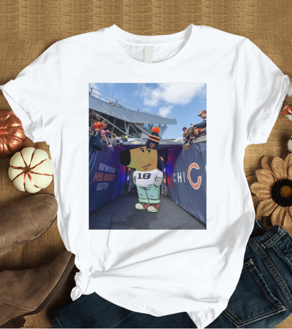 T-Shirt: Chicago Bears NFL Chill Guy His Best 18 Reception T-Shirt Chicago Bears NFL Chill Guy His Best 18 Reception T-Shirt