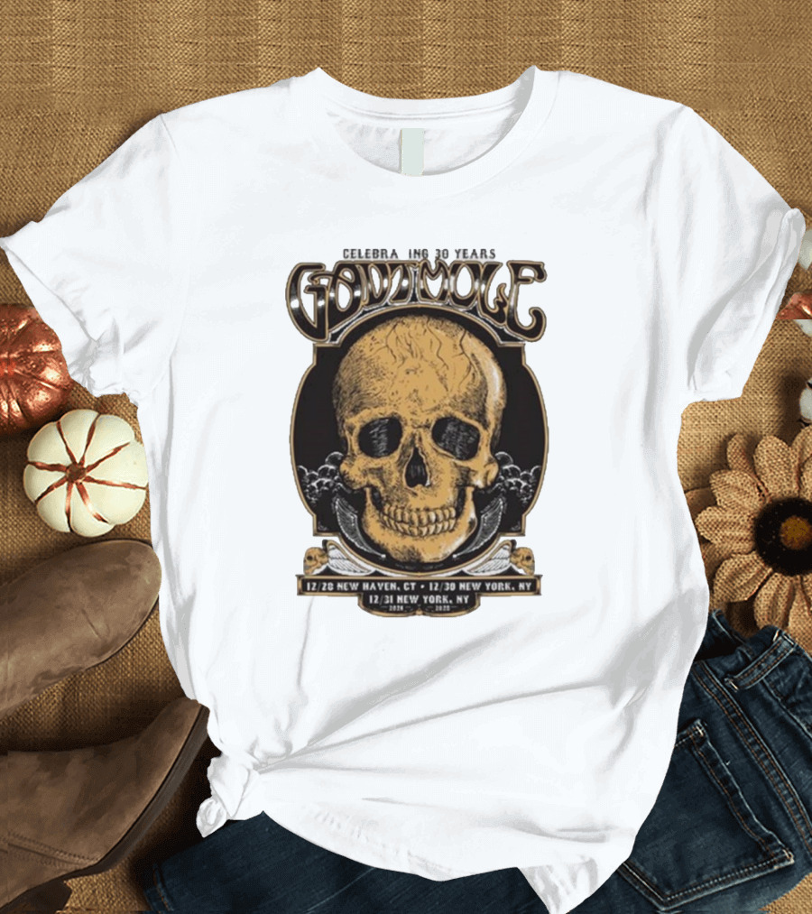 Gov’t Mule Celebrating 30 Years NYE Shows Dec 28 New Haven CT and Dec 30-31 New York NY T-Shirt