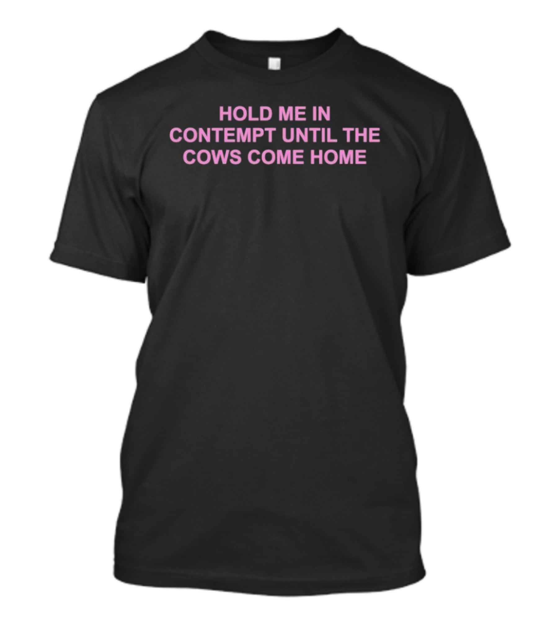 Hold Me In Contempt Until The Cows Come Home T-Shirt