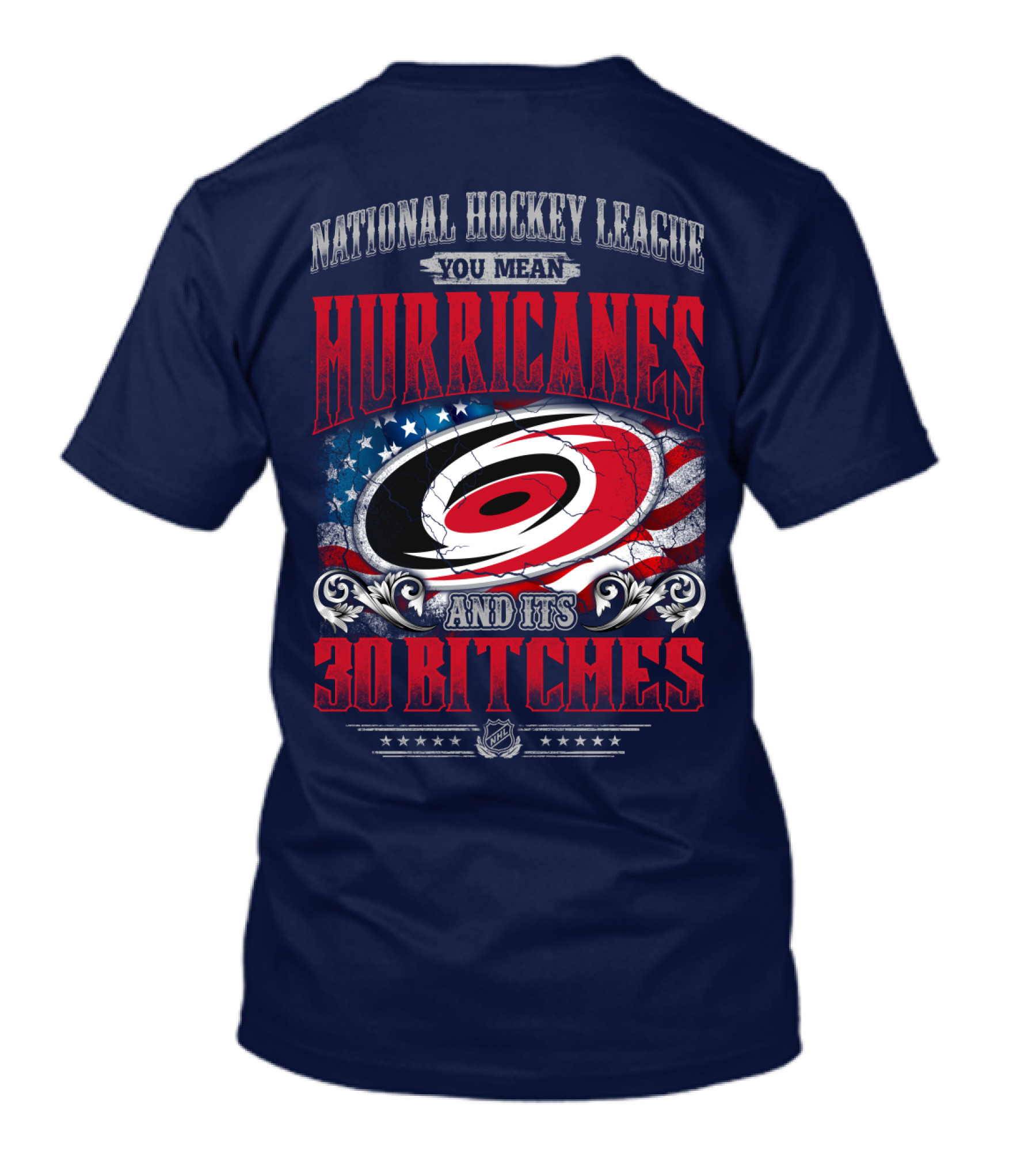 National Hockey League You Mean Hurricanes And Its 30 Bitches T-Shirt