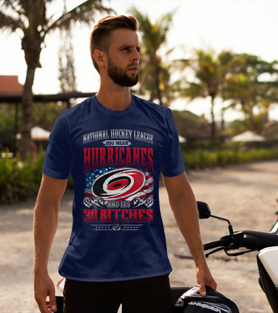 National Hockey League You Mean Hurricanes And Its 30 Bitches T-Shirt
