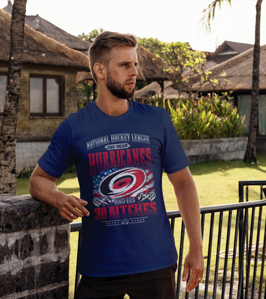 National Hockey League You Mean Hurricanes And Its 30 Bitches T-Shirt