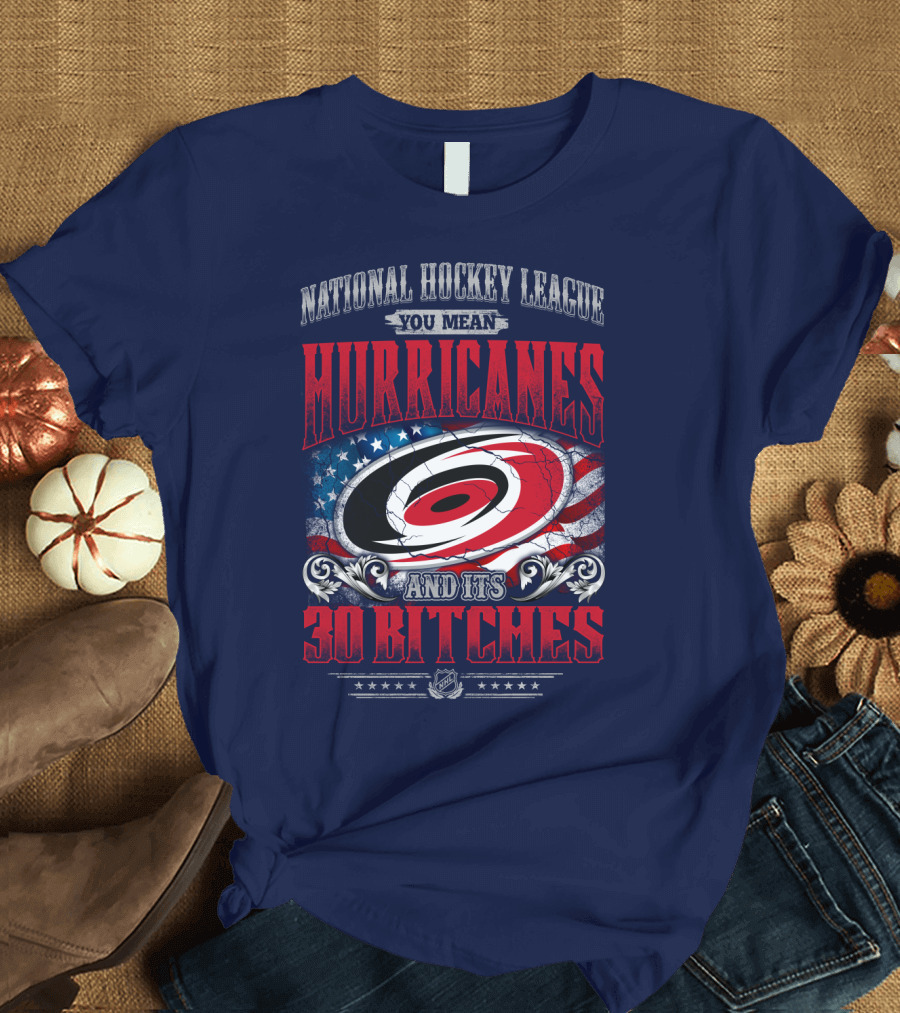 National Hockey League You Mean Hurricanes And Its 30 Bitches T-Shirt