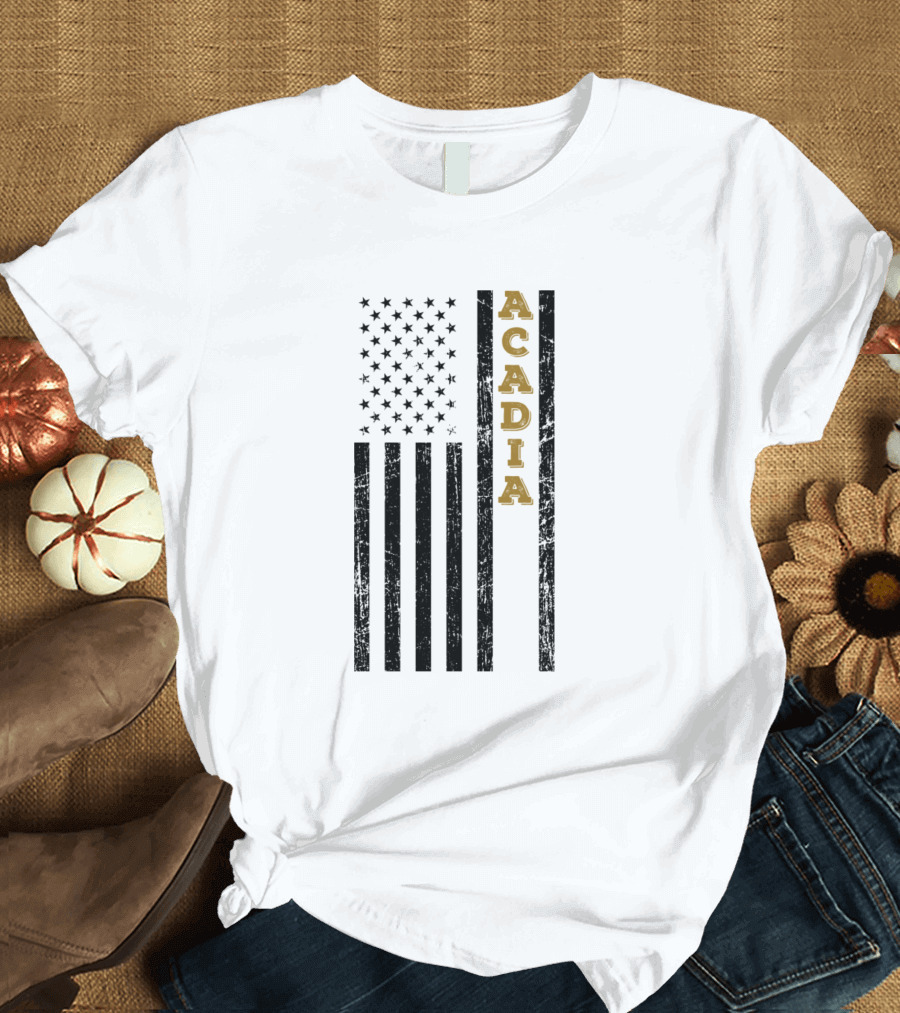 ACADIA Vintage Distressed American Flag T-Shirt