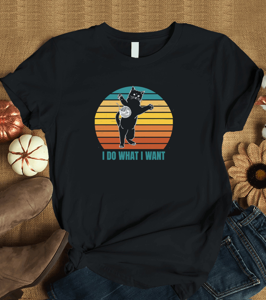 I Do What I Want Black Cat Vintage Sunset T-Shirt