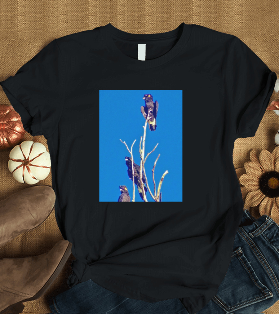 Yellow Tail Black Cockatoos on Tree Branches in Blue Sky Background T-Shirt