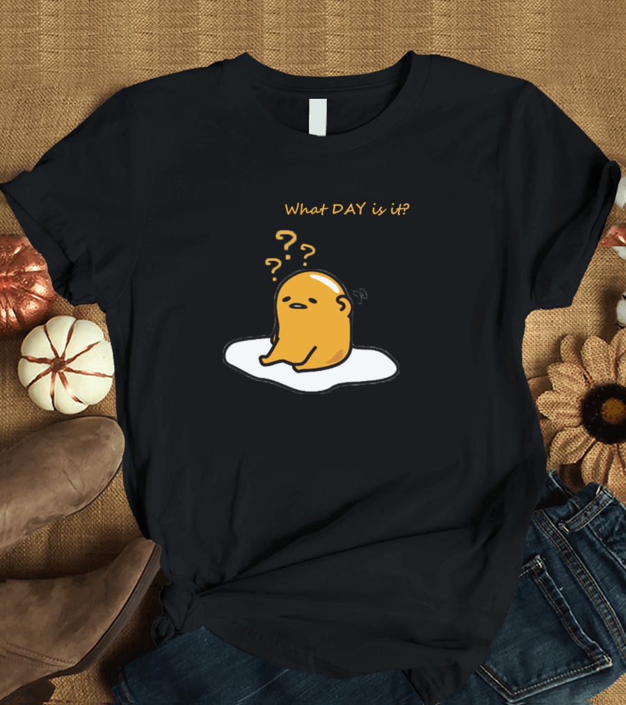What Day Is It Lazy Gude Missing Day T-Shirt