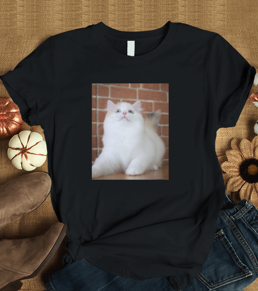 The Little White Cute Cats Fluffy Feline on Brick Wall Background T-Shirt