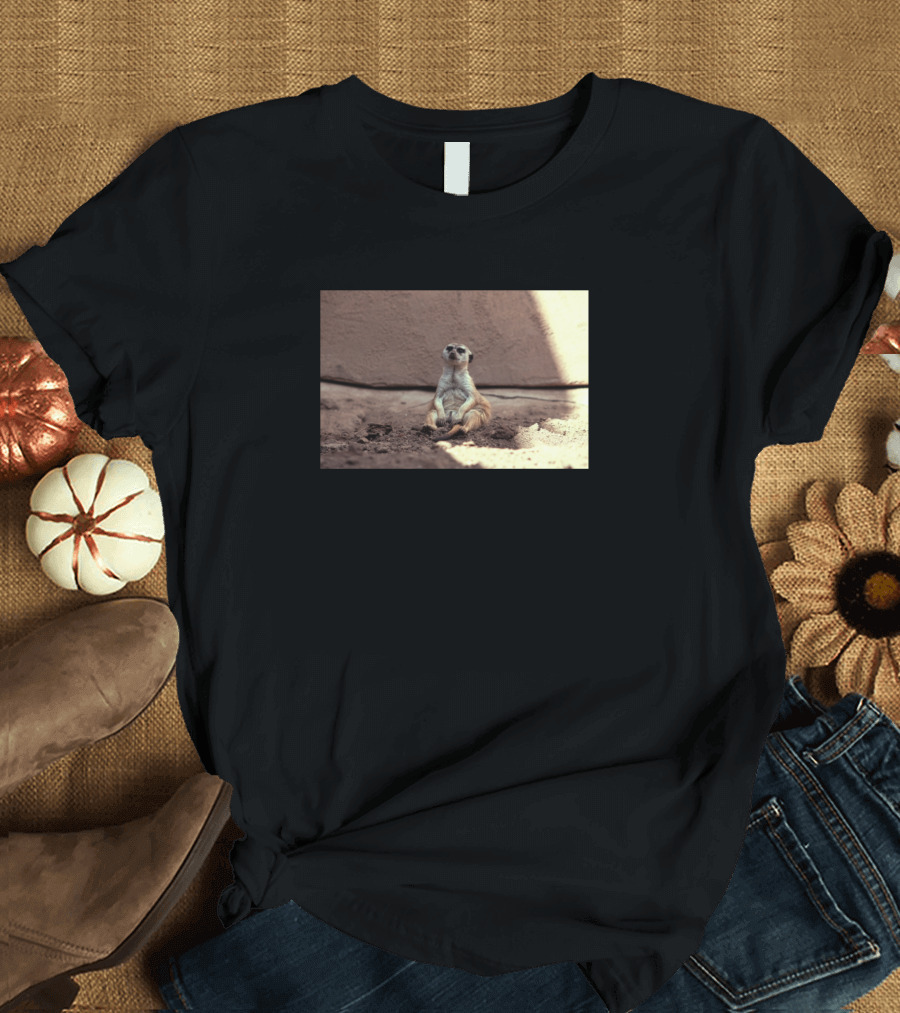 Mood Sitting Meerkat Relaxation Dirt Sunlight T-Shirt