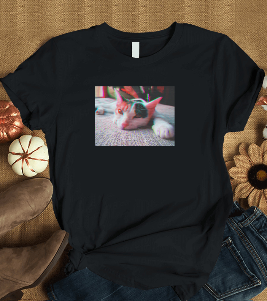 3D Effect Aesthetic Cat Relaxing on Rug T-Shirt