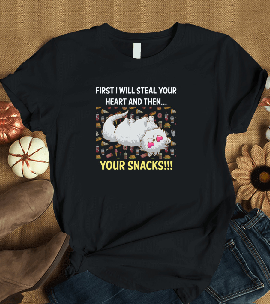 First I Will Steal Your Heart And Then Your Snacks Persian Cat T-Shirt