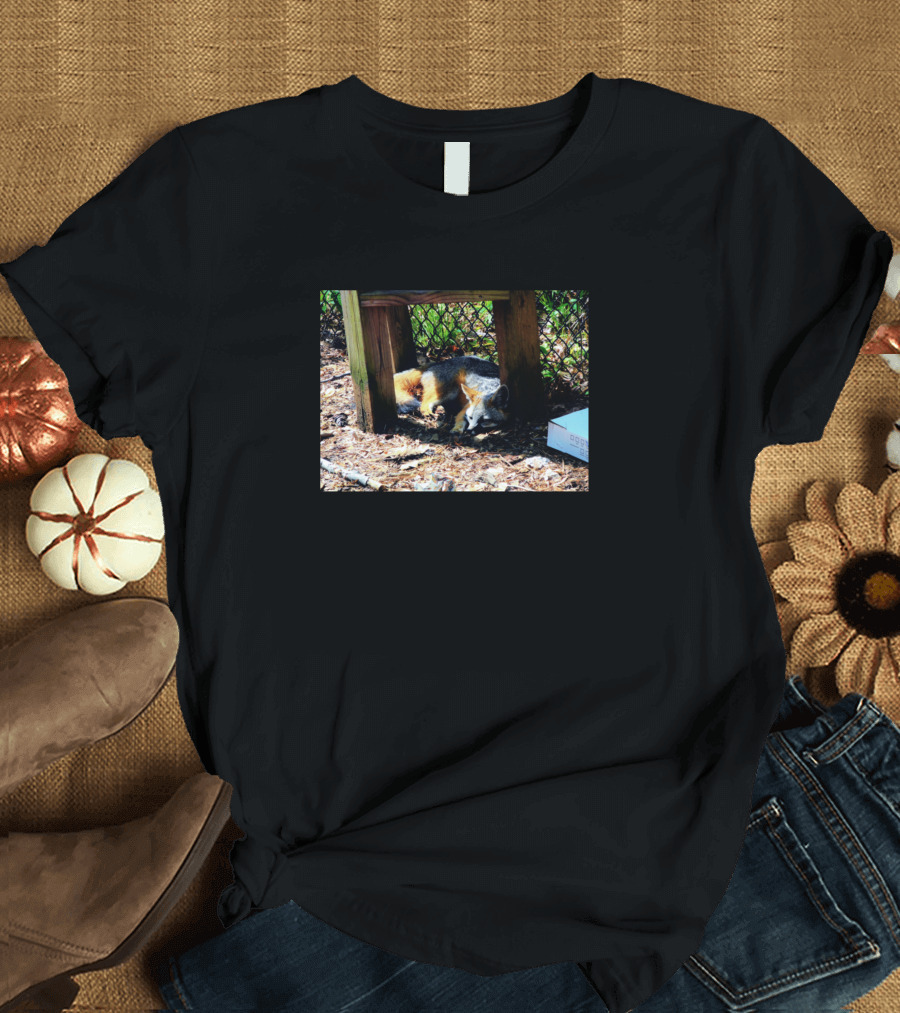 Grey Fox Resting Peacefully in Woodland Sanctuary T-Shirt