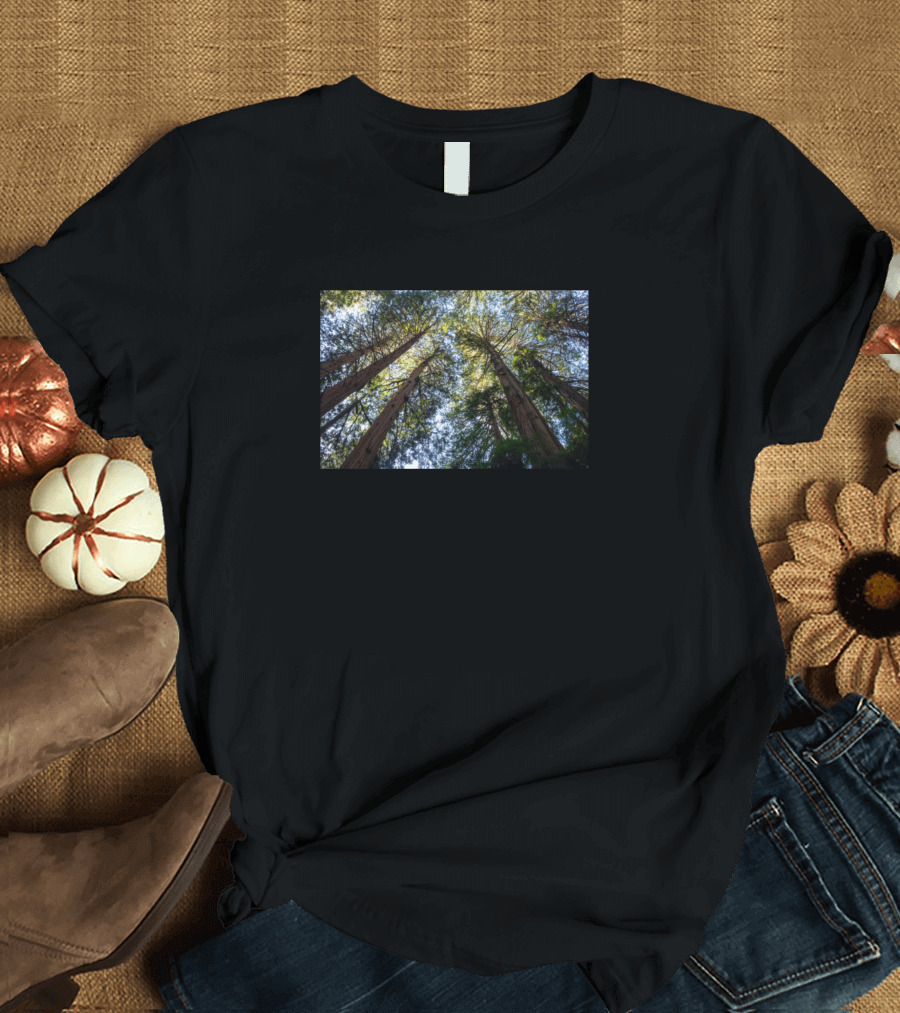 Muir Woods Tall Redwood Trees Forest Canopy Nature Landscape T-Shirt