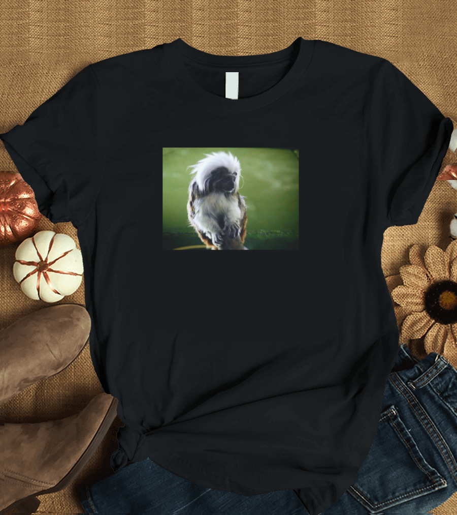 The Wise Looking Tamarin on a Forest Green Background T-Shirt