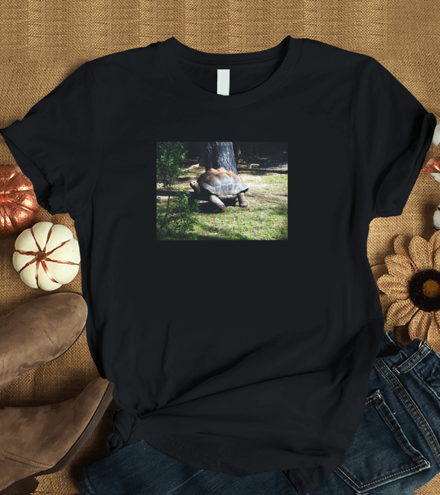Tortoise On The Run In Nature Scene T-Shirt