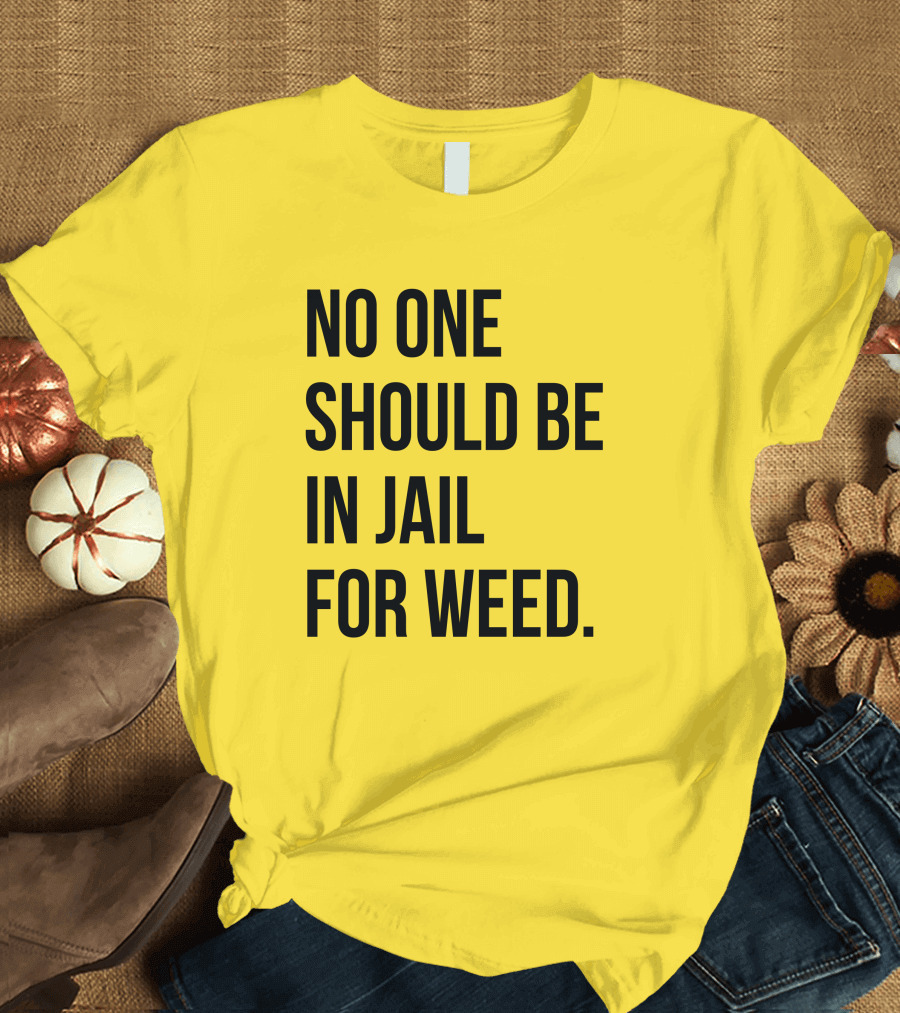 No One Should Be In Jail For Weed Gisele Barreto Fetterman We Go High Shop T-Shirt
