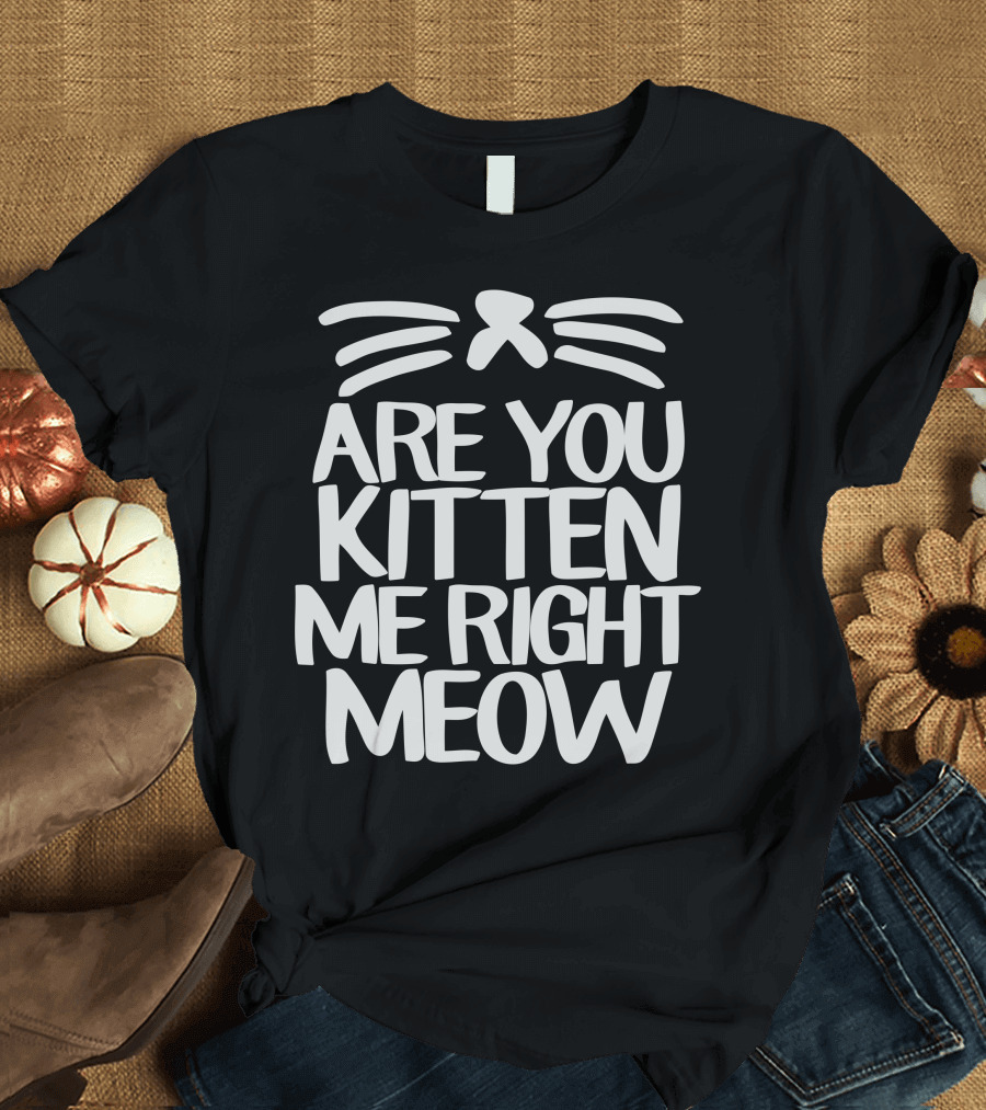 Are You Kitten Me Right Meow Cat Whiskers Playful Pun T-Shirt