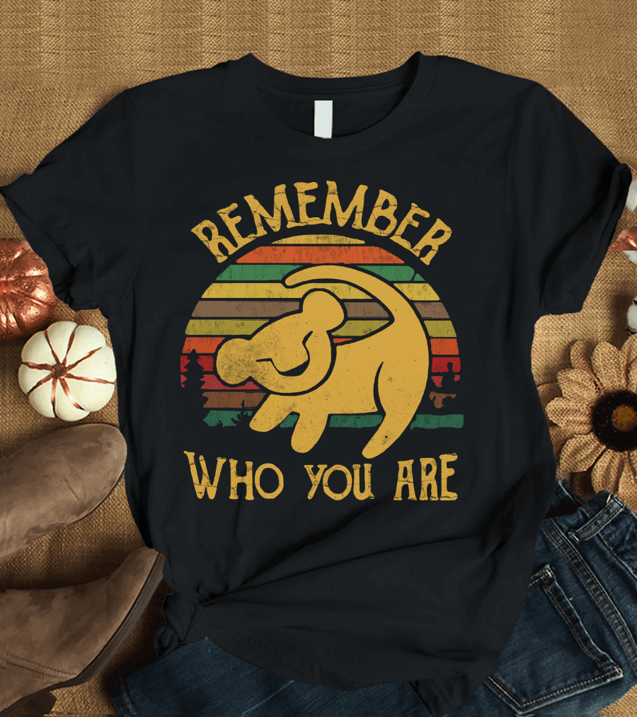 Vintage Remember Who You Are Simba Lion Sunset Stripes T-Shirt