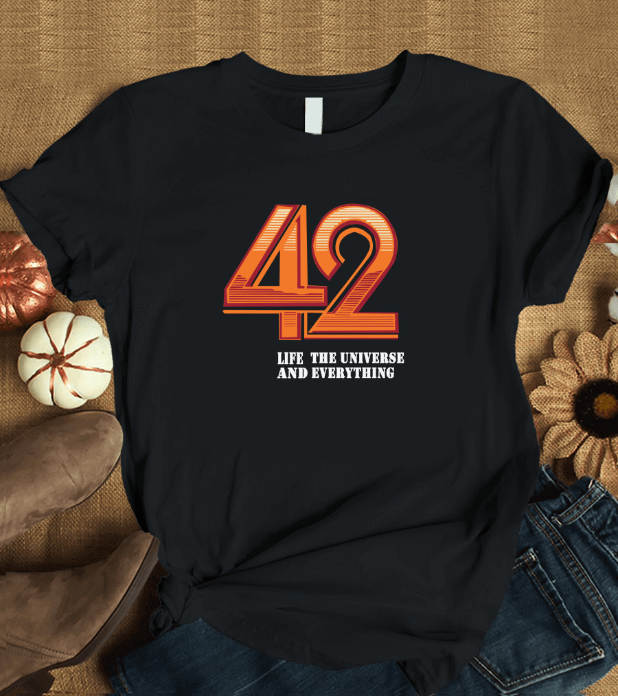42 Life the Universe and Everything T-Shirt