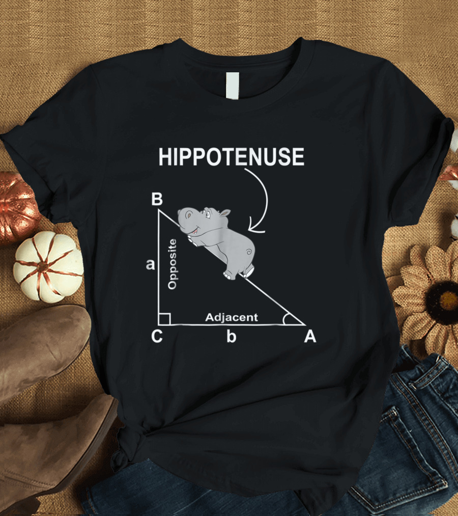 Hippotenuse Nerd Geometry Hypotenuse Triangle Opposite Adjacent T-Shirt
