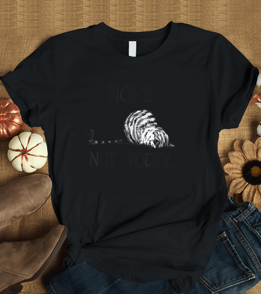 Nope Not Today Funny Lazy Cat Kitten Lover T-Shirt