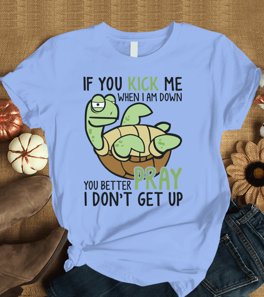 RD Turtle If You Kick Me When I Am Down You Better Pray I Don’t Get Up T-Shirt