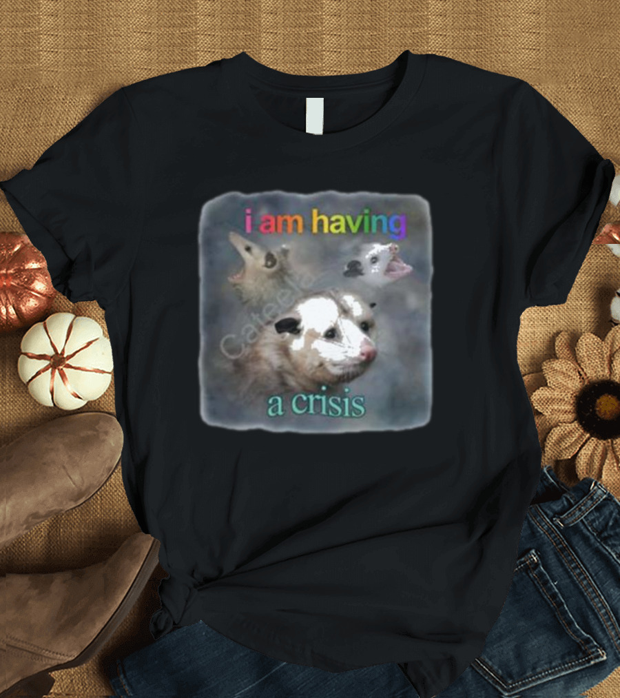 Snazzyseagull I Am Having A Crisis Possum Multicolored Text Mood T-Shirt