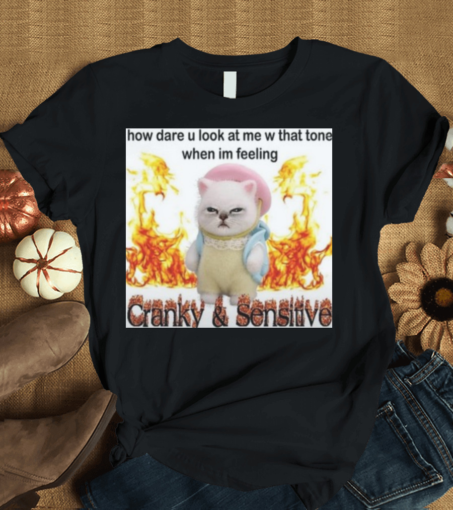 Cranky and Sensitive How Dare U Look At Me W That Tone When I'm Feeling T-Shirt