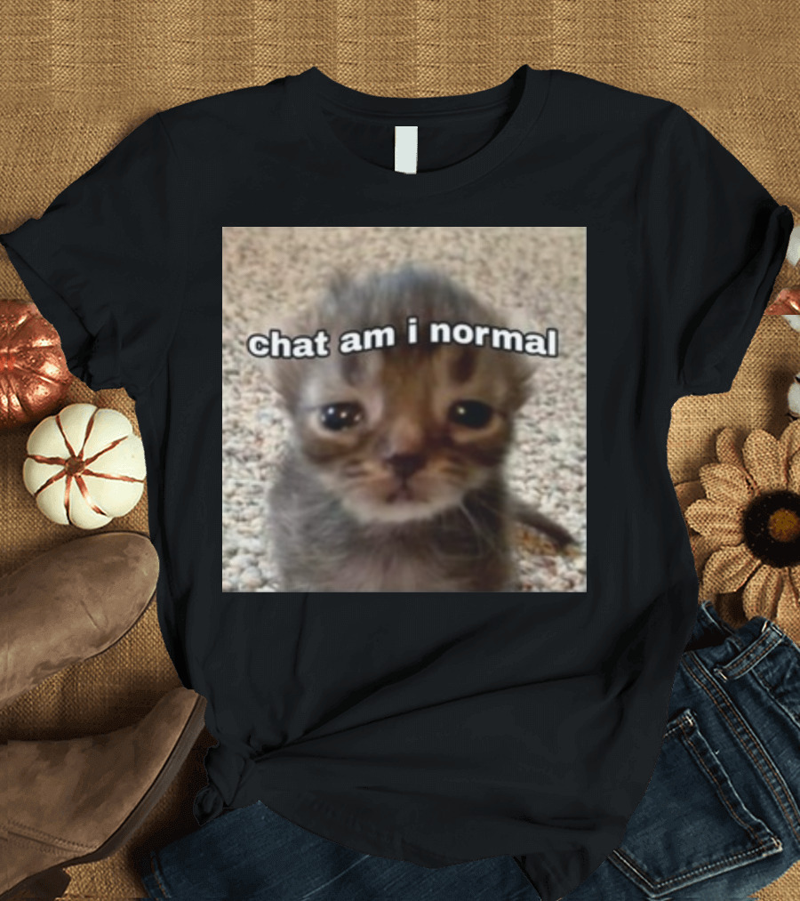 Cringeytees Chat Am I Normal Kitten Meme T-Shirt
