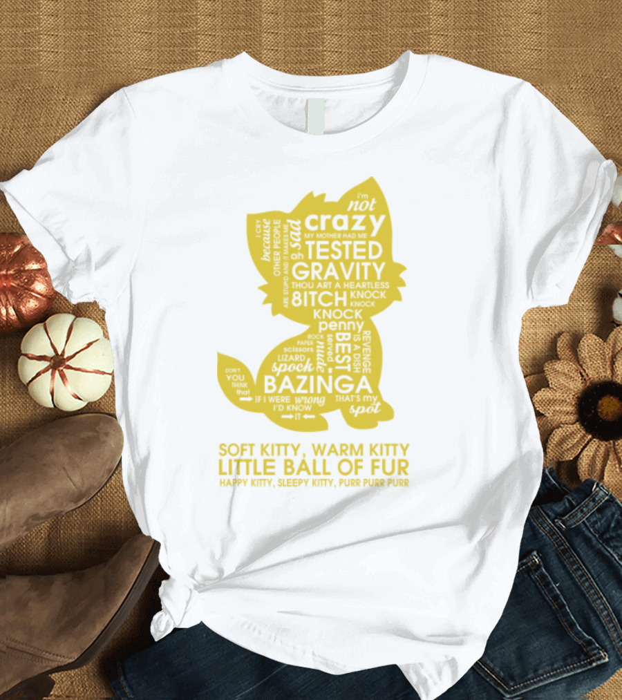 Soft Kitty, Warm Kitty, Crazy Kitty, Tested Gravity, Bazinga Little Ball of Fur T-Shirt