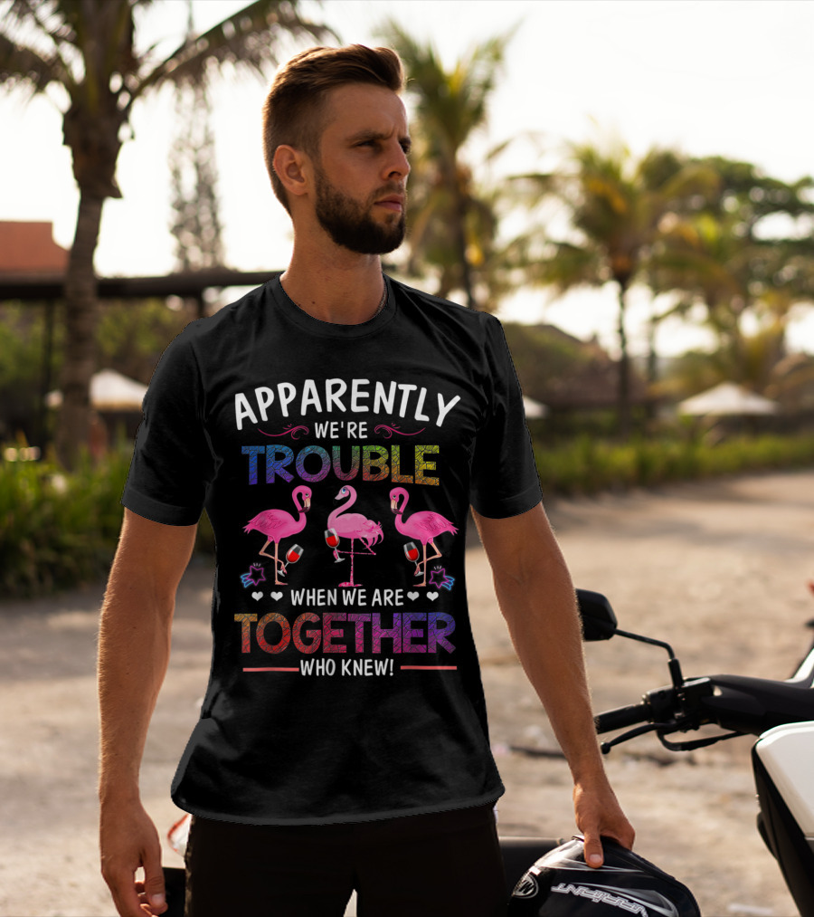 Apparently We're Trouble When We Are Together Who Knew Flamingo Wine Glass Party T-Shirt