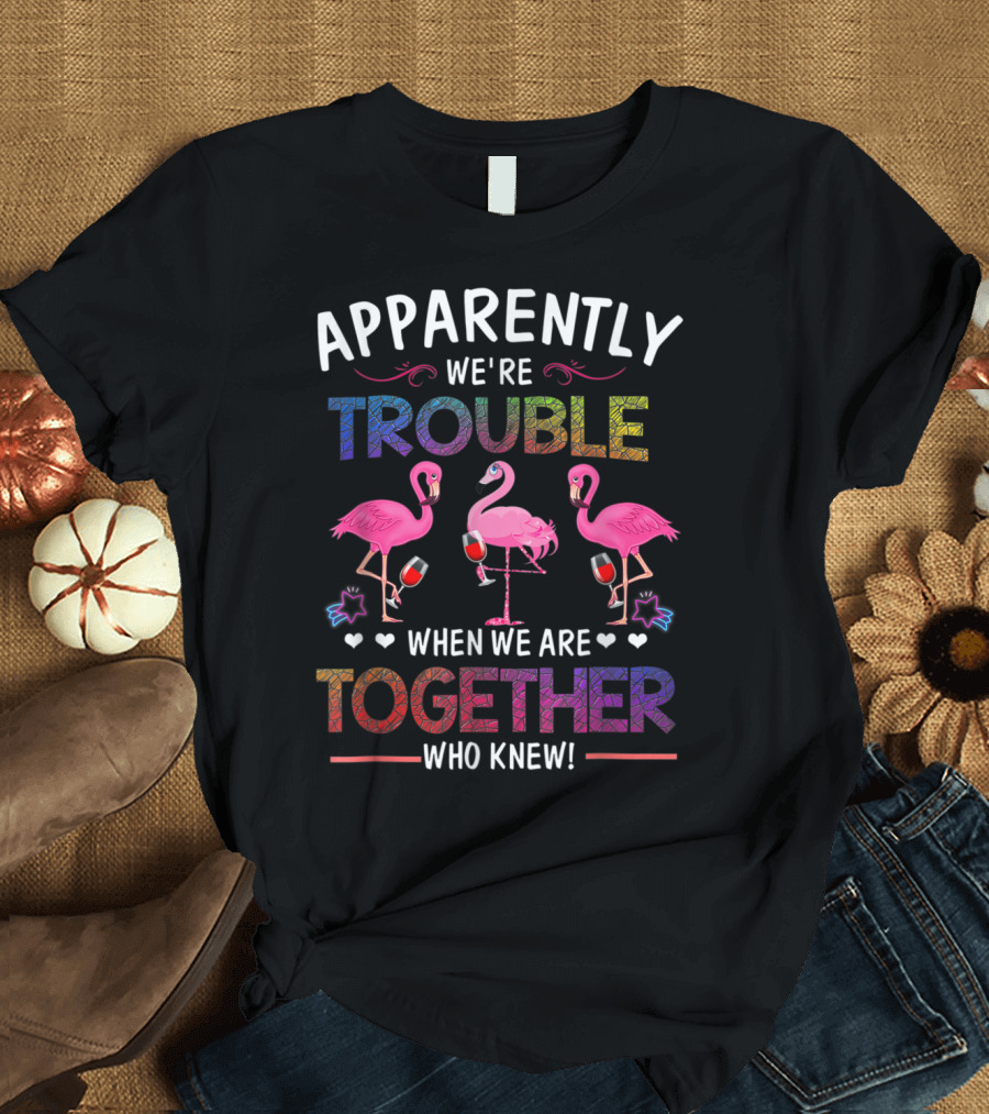 Apparently We're Trouble When We Are Together Who Knew Flamingo Wine Glass Party T-Shirt
