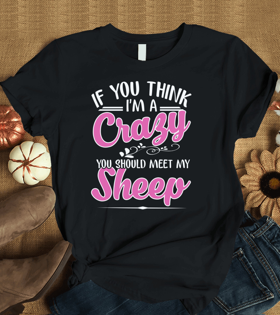If You Think I'm a Crazy You Should Meet My Sheep Playful Text T-Shirt