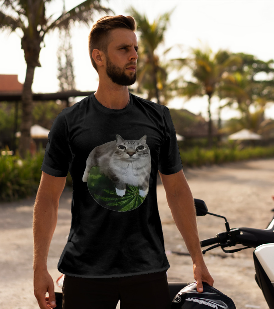 Watermelon Cat Meme Humor Collage T-Shirt