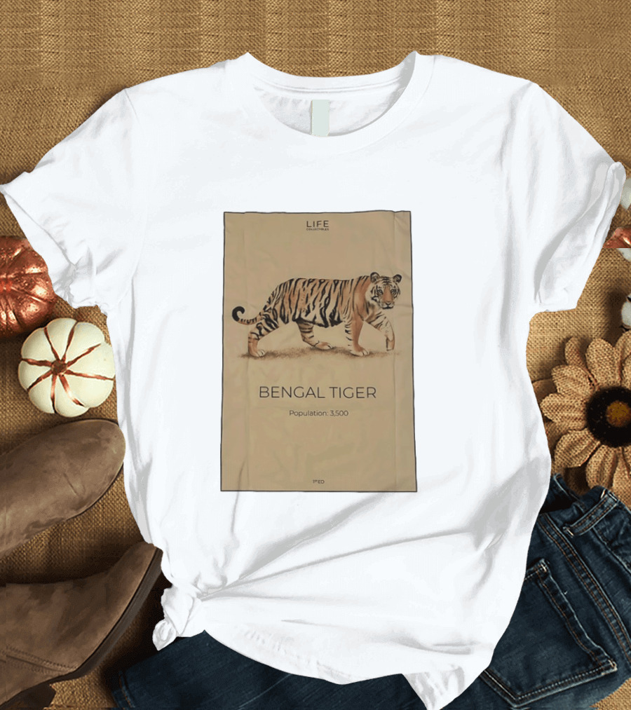 Life Collections Bengal Tiger Population 3,500 1st Ed T-Shirt