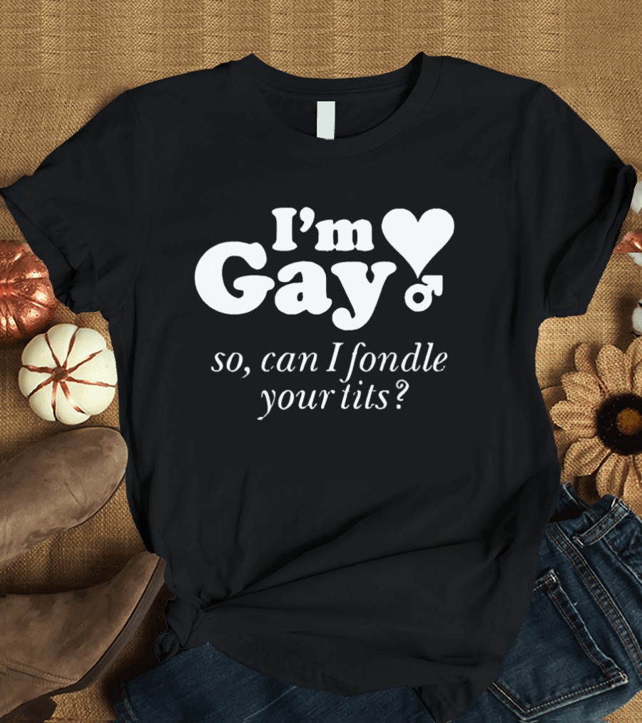 I'm Gay So Can I Fondle Your Tits Heart Symbol And Male T-Shirt