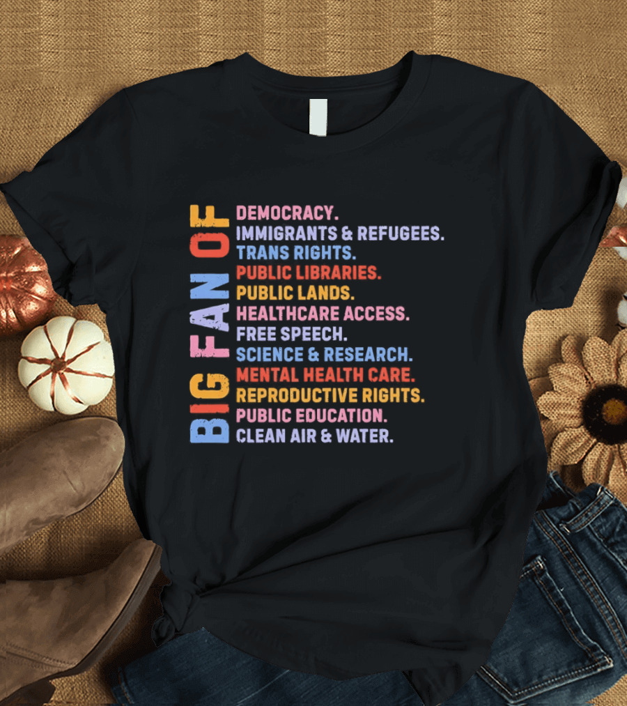 Big Fan Of Democracy Immigrants Refugees Trans Rights Unions Public Libraries Healthcare Mental Health Reproductive Rights Education Clean Air Water T-Shirt
