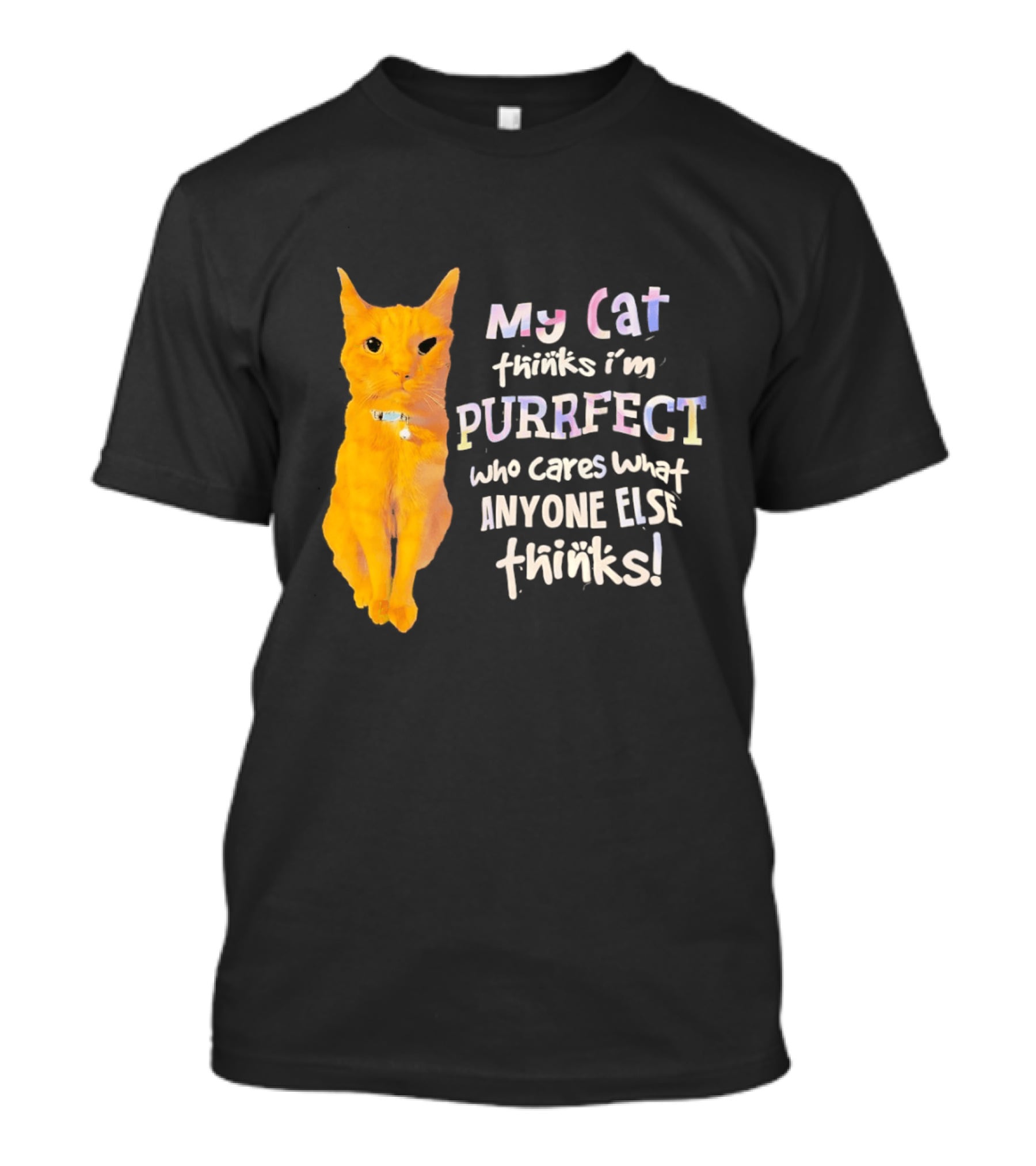 My Cat Thinks I'm Purrfect Who Cares What Anyone Else Thinks T-Shirt