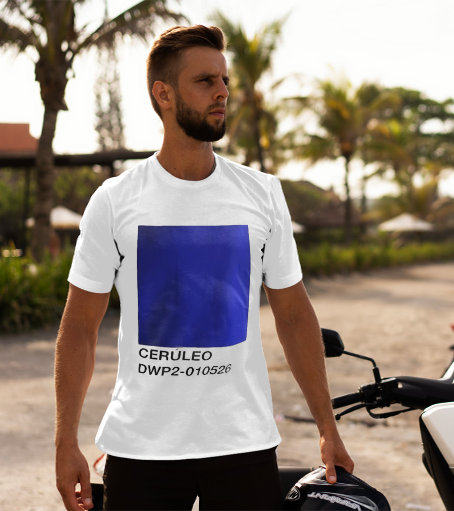 Ceruleo DWP2 010526 T-Shirt