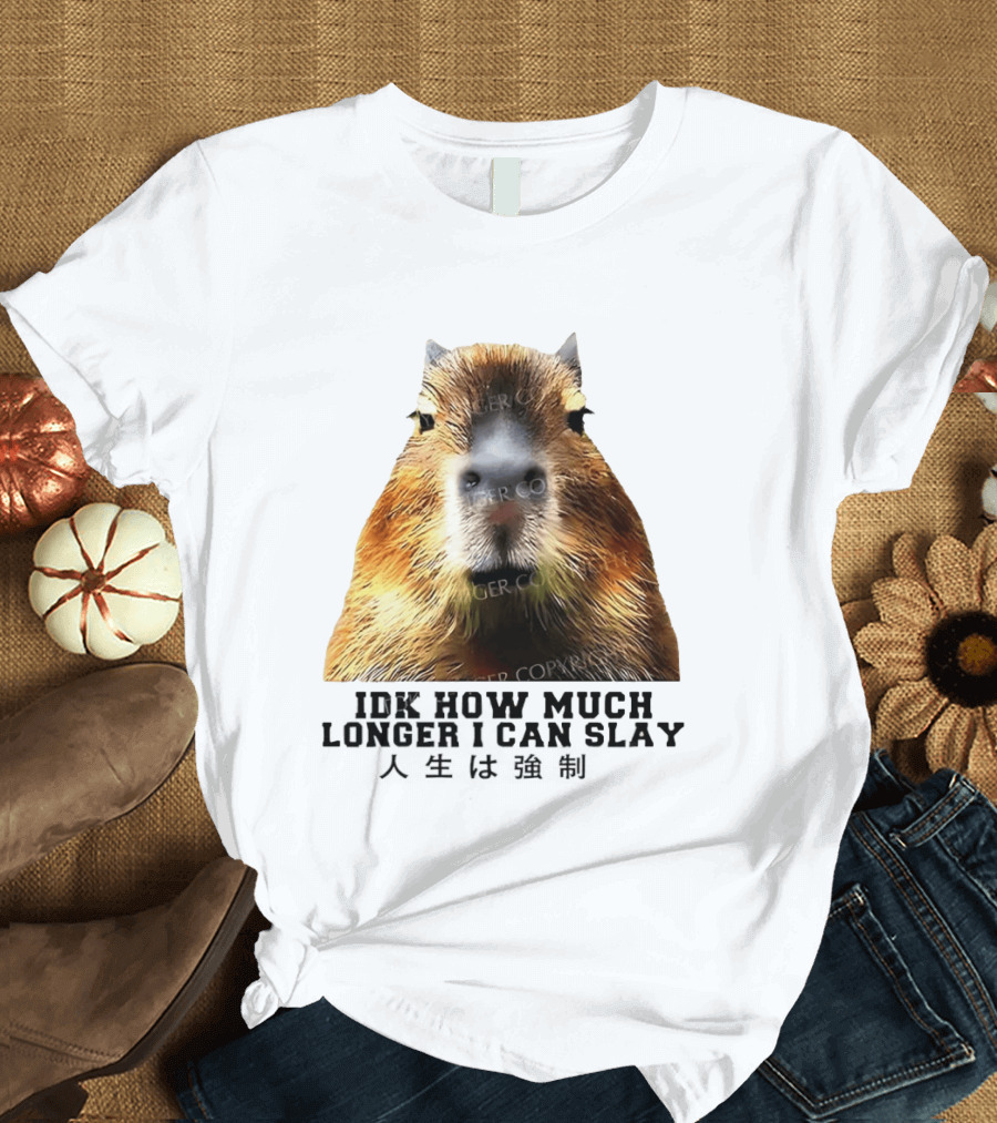 Capybara Idk How Much Longer I Can Slay T-Shirt